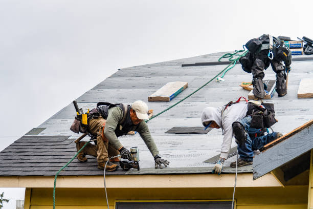 Professional Gutter Installation technician working in Brighton, IL